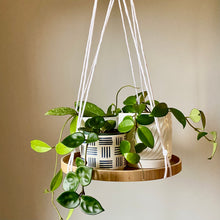 Load image into Gallery viewer, Modern No-Tail Macramé Hanging Plant Shelf, 12&quot; Round, Hanging Plant Tray

