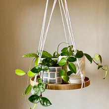 Load image into Gallery viewer, Modern No-Tail Macramé Hanging Plant Shelf, 12" Round, Hanging Plant Tray