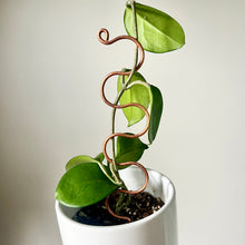 Load image into Gallery viewer, Copper Serpent Plant Stick, Decorative Plant Stake, 2 Lengths