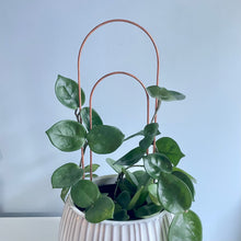Load image into Gallery viewer, Copper Arch Plant Trellis, 4 Size Options