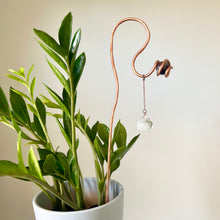 Load image into Gallery viewer, Crystal Coast Plant Stick, Plant Crystal Stake