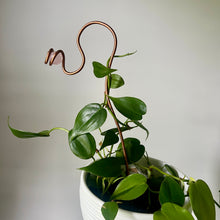 Load image into Gallery viewer, Crystal Coast Plant Stick, Plant Crystal Stake