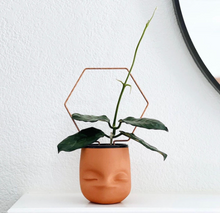 Load image into Gallery viewer, Copper Hexagon Plant Trellis, Honeycomb Trellis, 3 Size Options