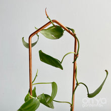Load image into Gallery viewer, Copper Pointed Arch Plant Trellis, 4 Size Options