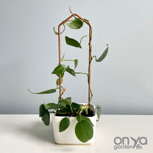 Load image into Gallery viewer, Copper Pointed Arch Plant Trellis, 4 Size Options