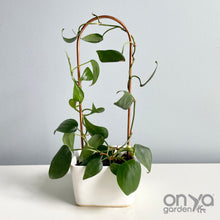 Load image into Gallery viewer, Copper Arch Plant Trellis, 4 Size Options