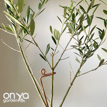 Load image into Gallery viewer, Copper Mini Stem Supports Plant Sticks, Set of 3