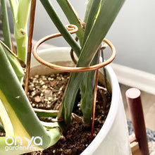 Load image into Gallery viewer, Copper Hook Plant Stick, Leaning Stem Support