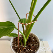 Load image into Gallery viewer, Angled Crescent Copper Plant Stake, Leaning Plant Supports