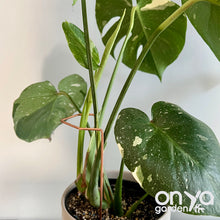 Load image into Gallery viewer, Angled Crescent Copper Plant Stake, Leaning Plant Supports