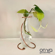 Load image into Gallery viewer, Minimal Teardrop Propagation Vase Copper Stand, Copper Wire Stand with Glass Vase
