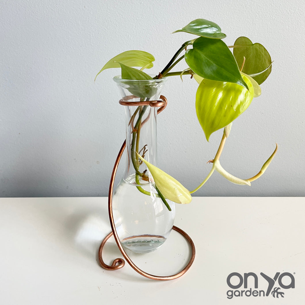 Minimal Teardrop Propagation Vase Copper Stand, Copper Wire Stand with Glass Vase