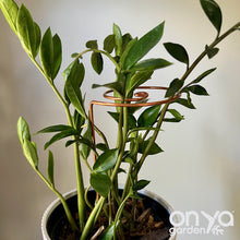 Load image into Gallery viewer, Copper Wave Plant Stick, Plant Stem Holder, 2 Sizes