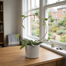 Load image into Gallery viewer, XL Circle Plant Trellis, Large Copper Round Trellis, Thick Gauge Wire