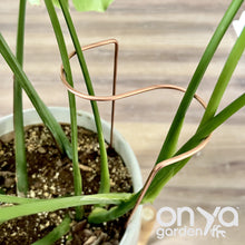 Load image into Gallery viewer, Copper S Plant Stake, Leaning Plant Support