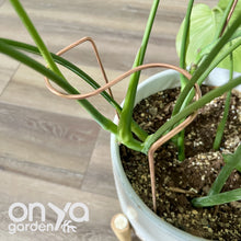 Load image into Gallery viewer, Copper S Plant Stake, Leaning Plant Support