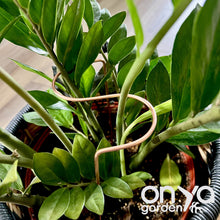 Load image into Gallery viewer, Copper S Plant Stake, Leaning Plant Support