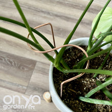Load image into Gallery viewer, Copper S Plant Stake, Leaning Plant Support