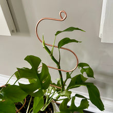 Load image into Gallery viewer, Copper Wide Serpent Plant Stick, Decorative Plant Stake