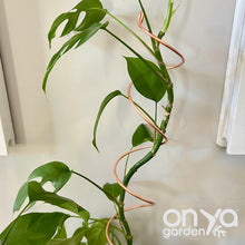 Load image into Gallery viewer, Copper Wide Spiral 18" Plant Stick