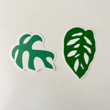 Load image into Gallery viewer, Plant Leaf Sticker, Adansonii Rhaphidophora Stickers, Plant Vinyl Decals