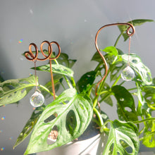 Load image into Gallery viewer, Copper Suncatcher Plant Stick, Plant Sun Catcher, 2 Design Options