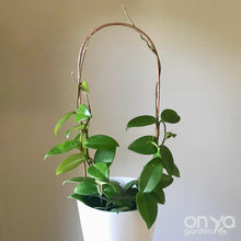 Load image into Gallery viewer, Copper Arch Trellis for Indoor House Plants - 3 Sizes Available-Trellis-On Ya Garden
