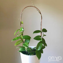 Load image into Gallery viewer, Copper Arch Trellis for Indoor House Plants - 3 Sizes Available-Trellis-On Ya Garden