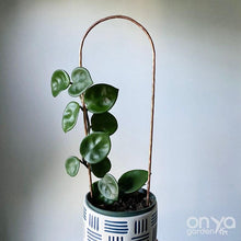 Load image into Gallery viewer, Copper Arch Trellis for Indoor House Plants - 3 Sizes Available-Trellis-On Ya Garden