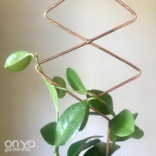 Load image into Gallery viewer, Copper Diamond Duo Wire Trellis for Hoyas-Trellis-On Ya Garden