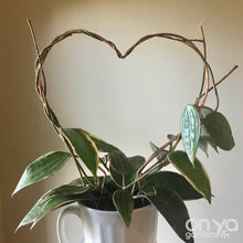 Load image into Gallery viewer, Copper Heart Trellis for Indoor Plant - 3 Sizes Available - Plant Gift-Trellis-On Ya Garden