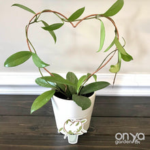Load image into Gallery viewer, Copper Heart Trellis for Indoor Plant - 3 Sizes Available - Plant Gift-Trellis-On Ya Garden