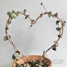 Load image into Gallery viewer, Copper Heart Trellis for Indoor Plant - 3 Sizes Available - Plant Gift-Trellis-On Ya Garden
