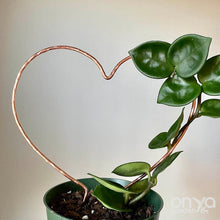 Load image into Gallery viewer, Copper Heart Trellis for Indoor Plant - 3 Sizes Available - Plant Gift-Trellis-On Ya Garden