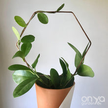 Load image into Gallery viewer, Copper Hexagon Honeycomb House Plant Trellis- 3 Sizes Available-Trellis-On Ya Garden