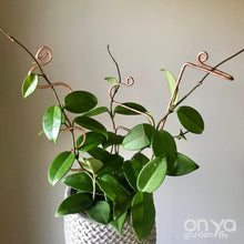 Load image into Gallery viewer, Copper House Plant Sticks - Set of 3 - Copper Plant Stakes-Plant Stick-On Ya Garden