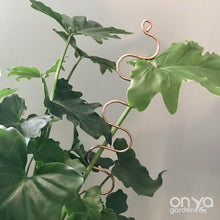 Load image into Gallery viewer, Copper Large Serpent Plant Stick - Curvy Plant Stake-Plant Stick-On Ya Garden

