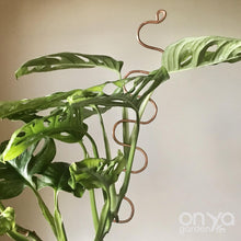 Load image into Gallery viewer, Copper Large Serpent Plant Stick - Curvy Plant Stake-Plant Stick-On Ya Garden