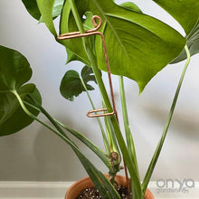 Load image into Gallery viewer, Copper Large Swizzle Plant Stick - 18" Plant Stake for Monsteras and Plant Stems-Plant Stick-On Ya Garden