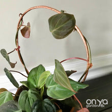 Load image into Gallery viewer, Copper Loop Circle Hoya and House Plant Trellis - 3 Sizes Available-Trellis-On Ya Garden