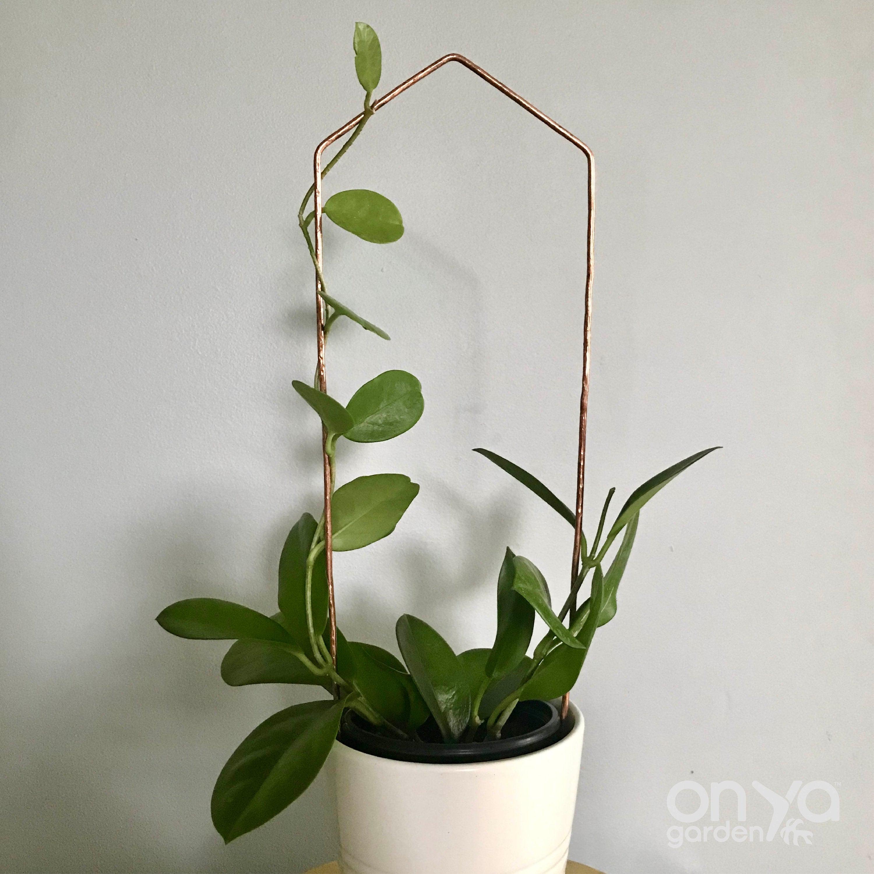 copper wire for plant trellis Copper Pointed Arch Plant Trellis, 4 Size Options Mini
