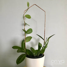 Load image into Gallery viewer, Copper Pointed Arch Trellis for House Plants- 3 Sizes Available-Trellis-On Ya Garden