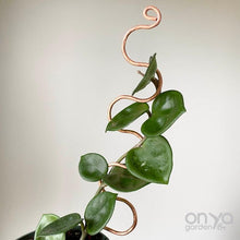 Load image into Gallery viewer, Copper Serpent Indoor Plant Stick - 2 Lengths Available-Plant Stick-On Ya Garden
