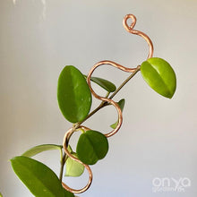 Load image into Gallery viewer, Copper Serpent Indoor Plant Stick - 2 Lengths Available-Plant Stick-On Ya Garden