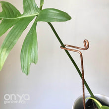 Load image into Gallery viewer, Copper Swizzle Indoor Plant Stick-Plant Stick-On Ya Garden