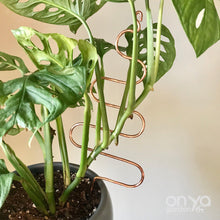 Load image into Gallery viewer, Copper Tree Indoor Plant Stick - Stem Supporter for Houseplants-Plant Stick-On Ya Garden