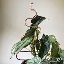 Load image into Gallery viewer, Copper Tree Indoor Plant Stick - Stem Supporter for Houseplants-Plant Stick-On Ya Garden