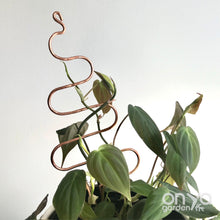 Load image into Gallery viewer, Copper Tree Indoor Plant Stick - Stem Supporter for Houseplants-Plant Stick-On Ya Garden
