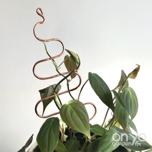 Load image into Gallery viewer, Copper Tree Indoor Plant Stick - Stem Supporter for Houseplants-Plant Stick-On Ya Garden