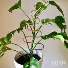 Load image into Gallery viewer, Copper Tree Indoor Plant Stick - Stem Supporter for Houseplants-Plant Stick-On Ya Garden